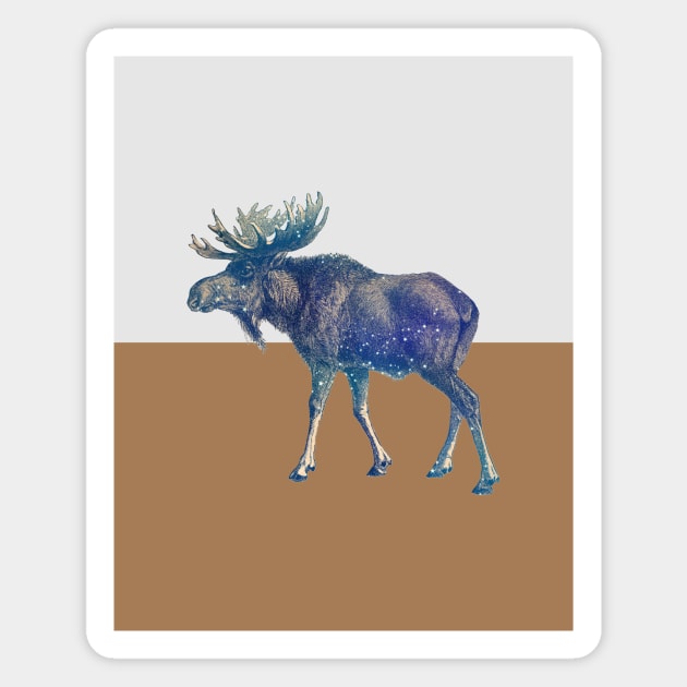 Moose Colorblock Magnet by She Gets Creative